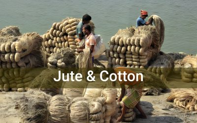 Jute & Cotton